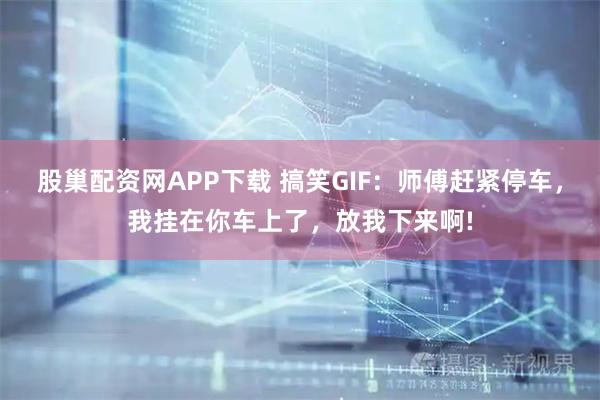 股巢配资网APP下载 搞笑GIF：师傅赶紧停车，我挂在你车上了，放我下来啊!