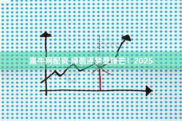 赢牛网配资 绿茵逐梦显锋芒！2025