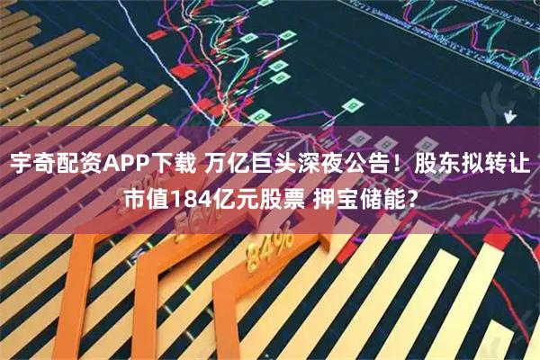 宇奇配资APP下载 万亿巨头深夜公告！股东拟转让市值184亿元股票 押宝储能？